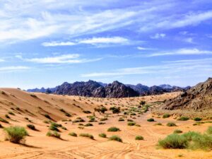 Saudi Desert - rabah-al-shammary